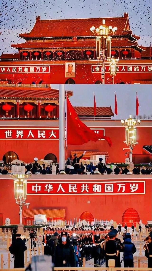 救援快乐的兔子